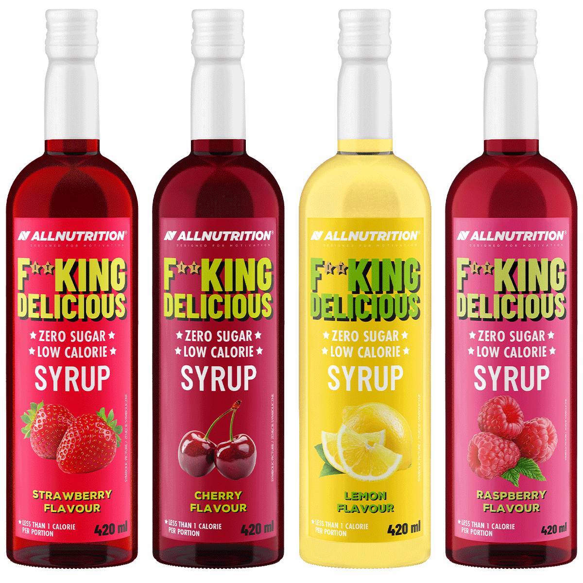 FITKING Delicious Sirup 490 ml